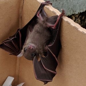 Meet your Posher, Wendy